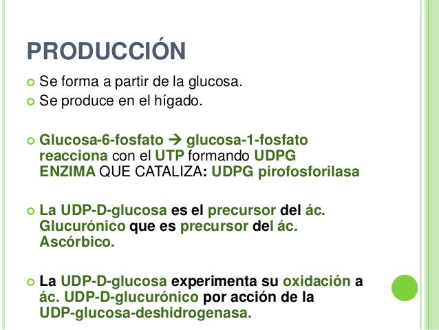 Duda: via del ácido glucurónico RESUELTO 2r39od3