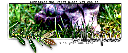Willow's Setjes 35lgb3p