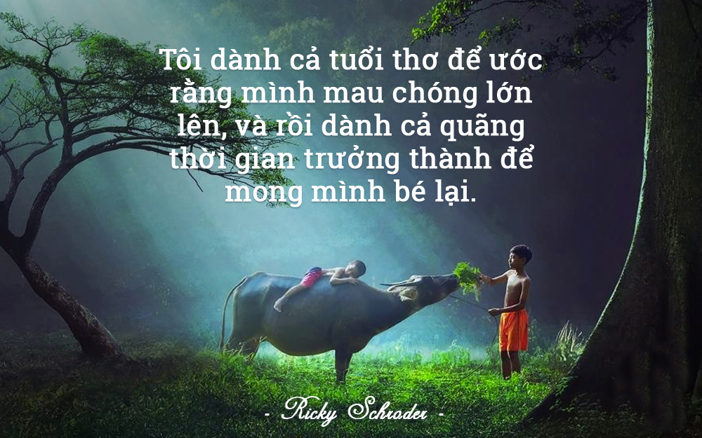 Cuộc sống  và tình yêu - Page 15 B7kmqt