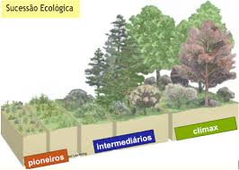 sucessão ecológica F4fmw