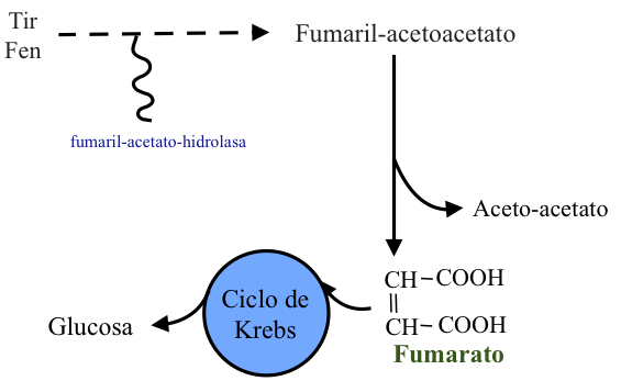 Unidad-I: OXIDACIONES BIOLÓGICAS (Cuestionario p/semana: 14-21 agosto, 2016) Jubdpi