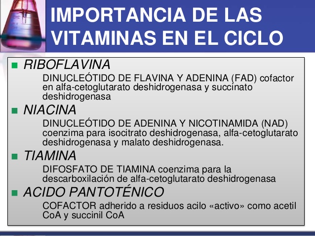 Unidad-I: OXIDACIONES BIOLÓGICAS (Cuestionario p/semana: 14-21 agosto, 2016) 20j4bjl