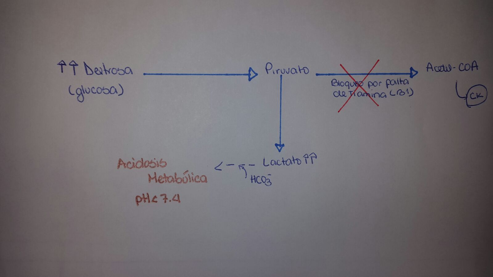 OXIDACIONES BIOLÓGICAS (Cuestionario fecha: 21-28 agosto, 2016) 2f04myw