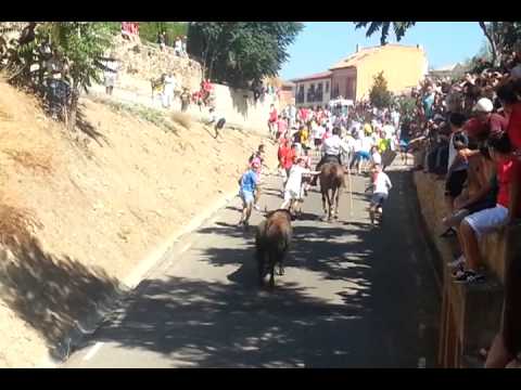 Convocada protesta contra el encierro de la Charcuela en Uceda el 17 de Agosto 33lcxfo