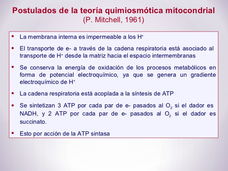 OXIDACIONES BIOLÓGICAS (Cuestionario fecha: 21-28 agosto, 2016) Oawwma