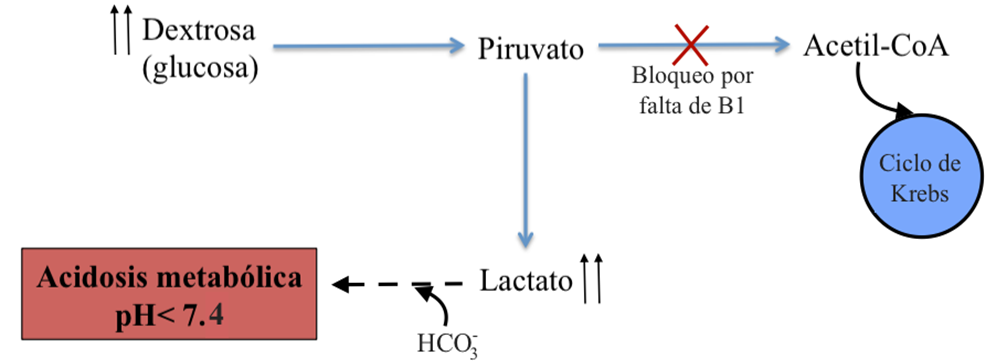 OXIDACIONES BIOLÓGICAS (Cuestionario fecha: 21-28 agosto, 2016) 207nxwg