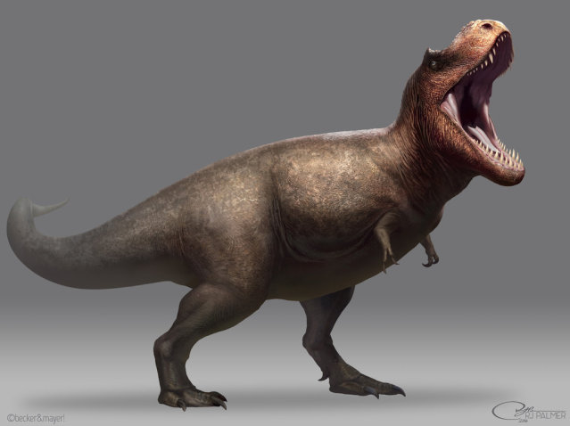 tiranosaurio - Tyrannosaurus rex - Página 3 27wrj29