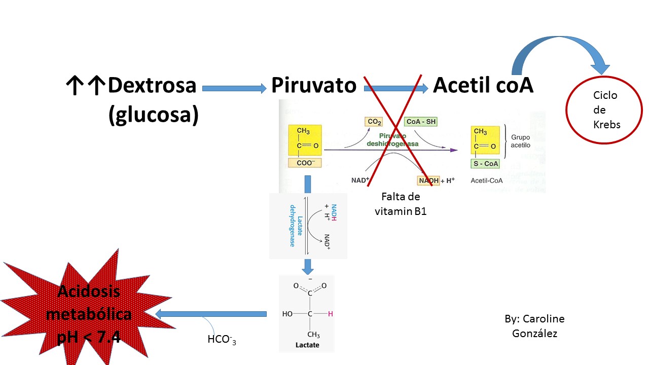 OXIDACIONES BIOLÓGICAS (Cuestionario fecha: 21-28 agosto, 2016) 2ag5maa