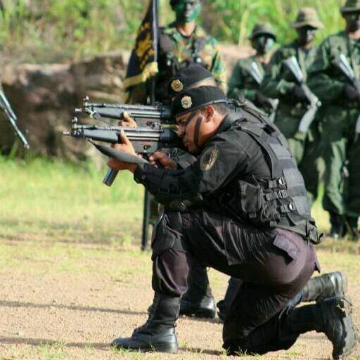 FAES del Ejército Bolivariano 2i24vx0