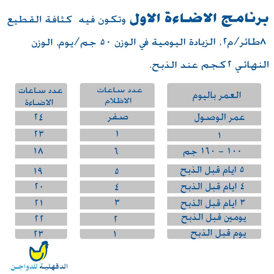 برامج الاضائة الصحيحة في تربية الدواجن البيضاء "زيادة المناعة التمثيل الغذائي الصحيح" 2ithr8p