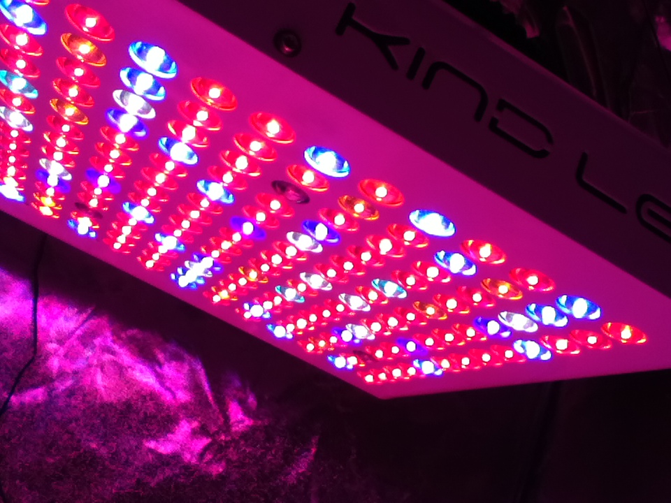 KIND LED GROW LIGHTS - Review 63t7vt