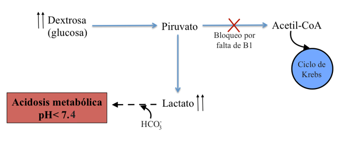 OXIDACIONES BIOLÓGICAS (Cuestionario fecha: 21-28 agosto, 2016) Jb2zap