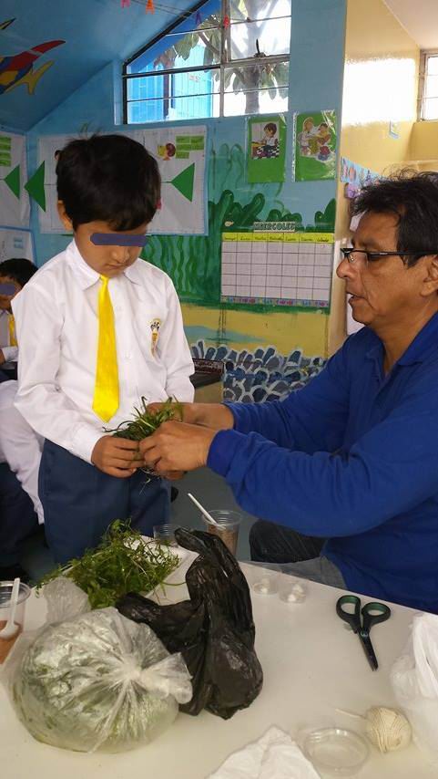 Mis alumnos plantando algunas plantas en nuestro acuario Nvzbpe