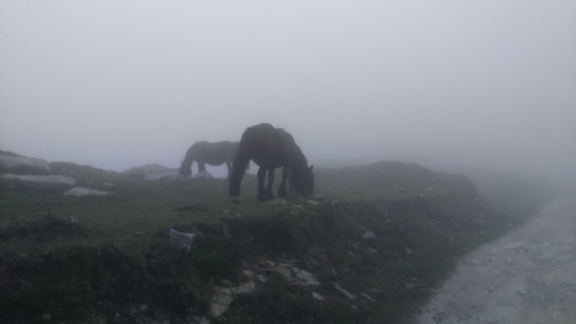 SAN CIPRIANO - IBIO - SIERRA DE IBIO - ANTENAS DE IBIO CON NIEBLA 140zvd2