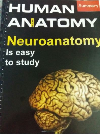 تلخيص د. إيهاب NeuroAnatomy PDF 21jolc1