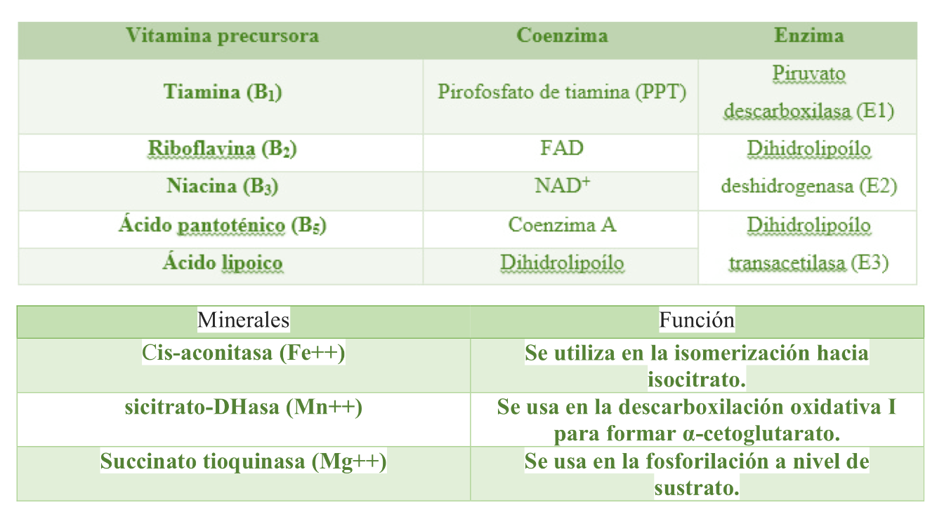 Unidad-I: OXIDACIONES BIOLÓGICAS (Cuestionario p/semana: 14-21 agosto, 2016) 256vku9