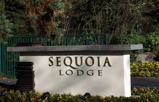 Disney's Sequoia Lodge 28jz1n7