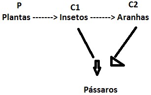 (PUC) Níveis tróficos 2hx6opk