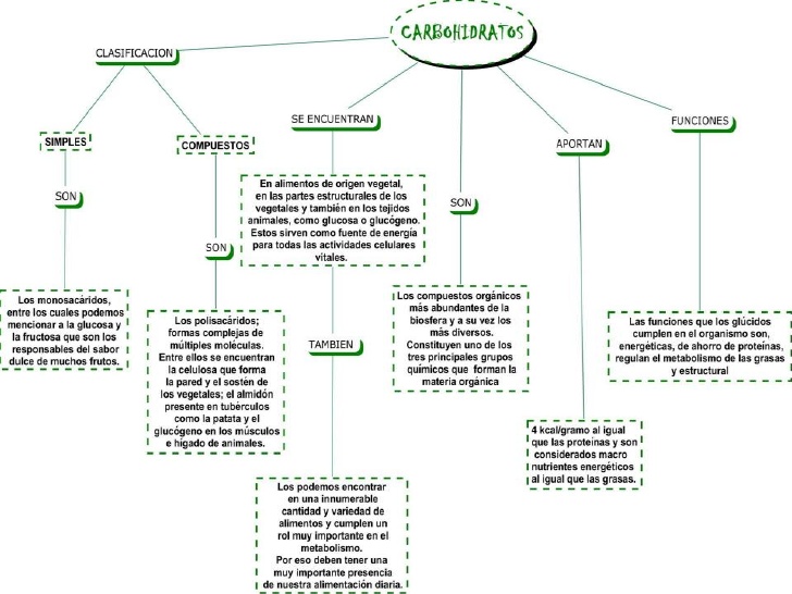 Mapa conceptual del  metabolismo de los carbohidratos 2j8gfc