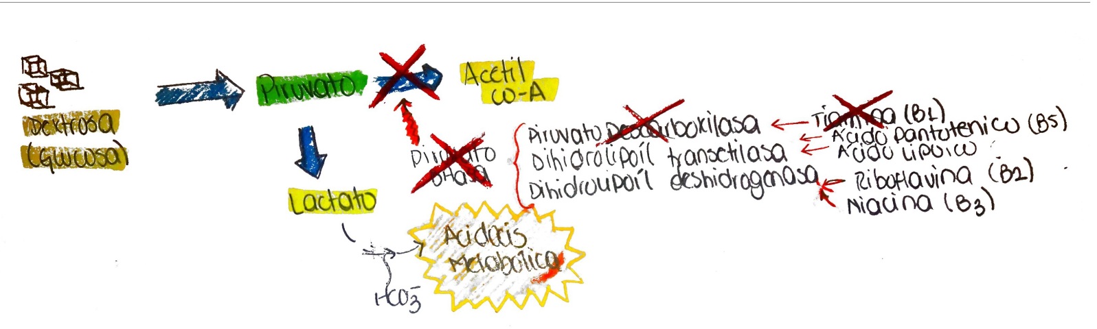 OXIDACIONES BIOLÓGICAS (Cuestionario fecha: 21-28 agosto, 2016) 2pzfwb5