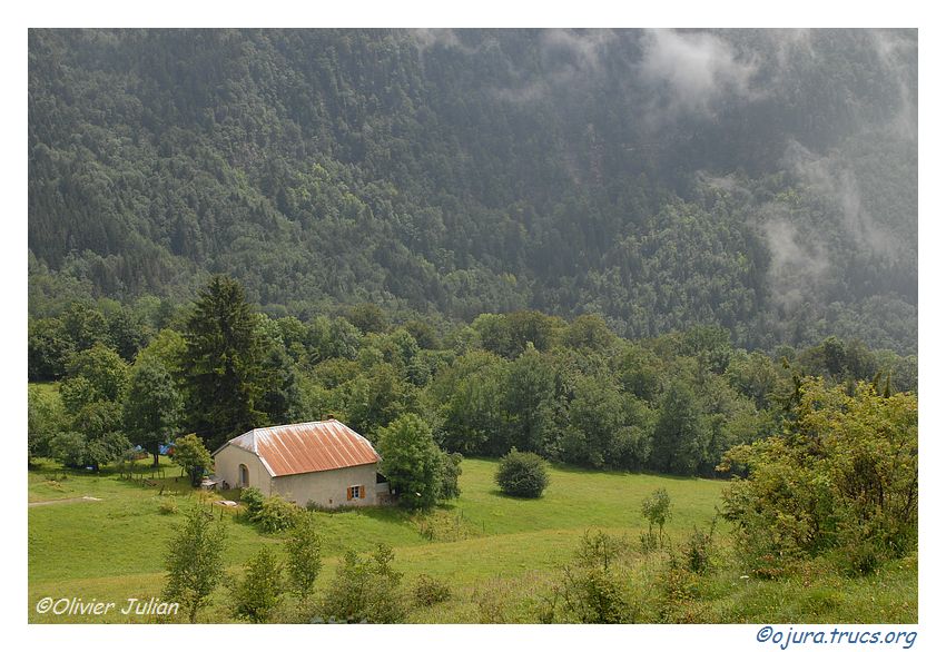 Quelques photos d'Olivier J. paysages et animaux jurassiens 20090718171925-3424280b