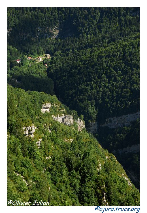 Quelques photos d'Olivier J. paysages et animaux jurassiens 20100810213022-429b2b1d