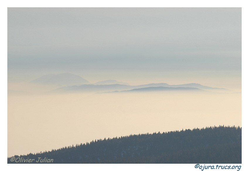 Quelques photos d'Olivier J. paysages et animaux jurassiens 20110129202632-6f2b3c29