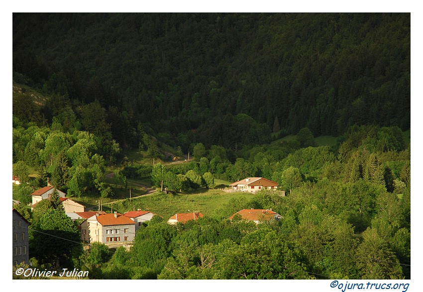 Quelques photos d'Olivier J. paysages et animaux jurassiens 20110617144612-d0dca13a