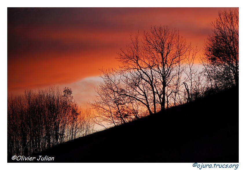 Quelques couleurs d'automne 20111108214840-d24e72b1