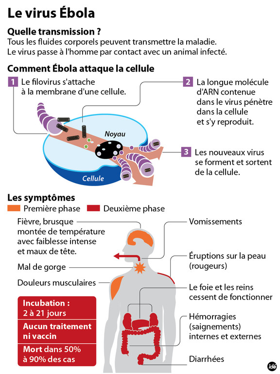 Fièvre Ébola - Afrique de l'Ouest - 2014  - Page 2 Ebola-desc1