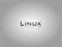 Linux representa 1% do mercado de SO 20090504113457