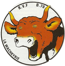 GBM 103 - La viande fraîche et le RVF (hippo et auto) E6a745e39aab5de1b489d74a3e863f8a