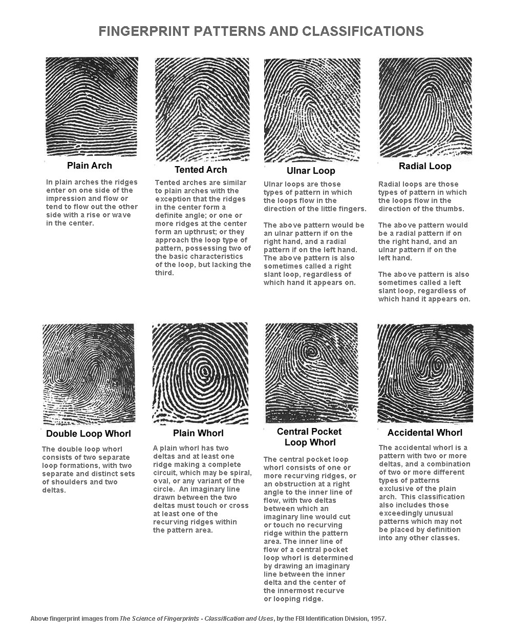 Different Types of Whorl fingerprint....! :) Fppatterns