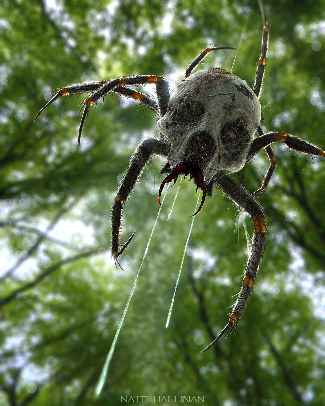 Honrando a los ancestros Skulltula_ambush_by_natehallinanart-d72bllg