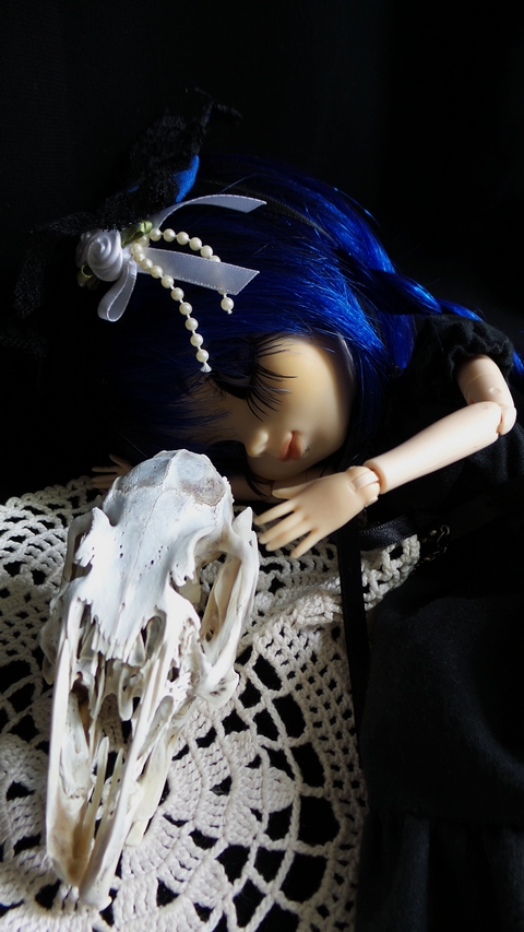 Le laboratoire: Petite MAJ [Pullip/angel philia/azone] p4 Curiosite_malsaine_by_princess_shinku-d95ovrg