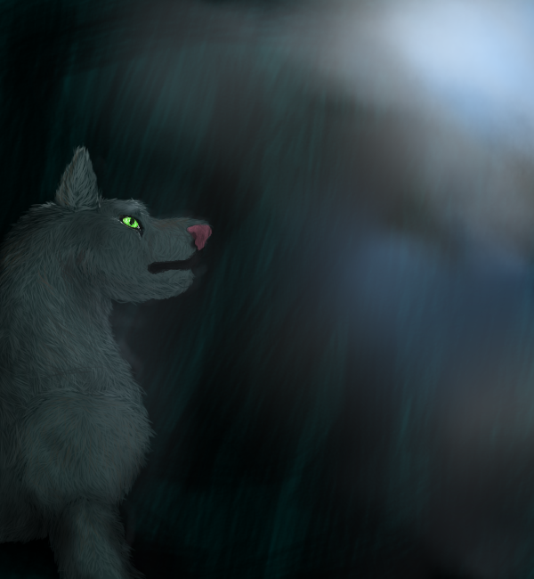 Cuando el aburrimiento o la imaginación me ataca pasa esto e.e {Galeria} Blue_wolf__practice__by_valentinathewolf-d8s2lta