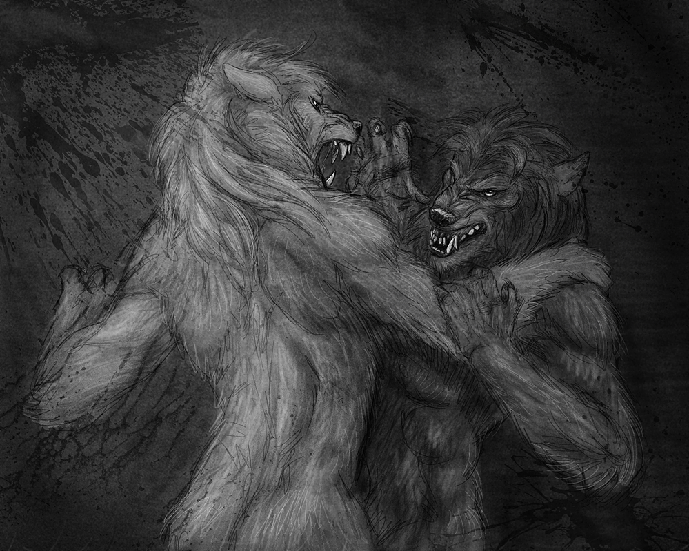 The strength of the Pack is the Wolf Werewolf_fight_by_viergacht-d7h51vr