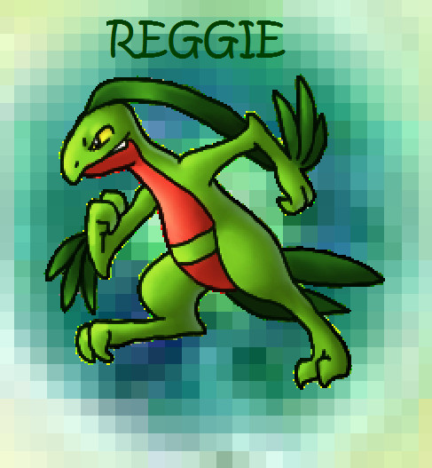 Galerie des Pokéumains Reggie_the_grovyle_by_pokemonmanic3595-d39wltt