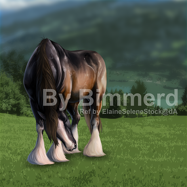 Creaties voor de Zwarte Parel - Pagina 38 Clydesdale_by_bimmerd-d8ukjes