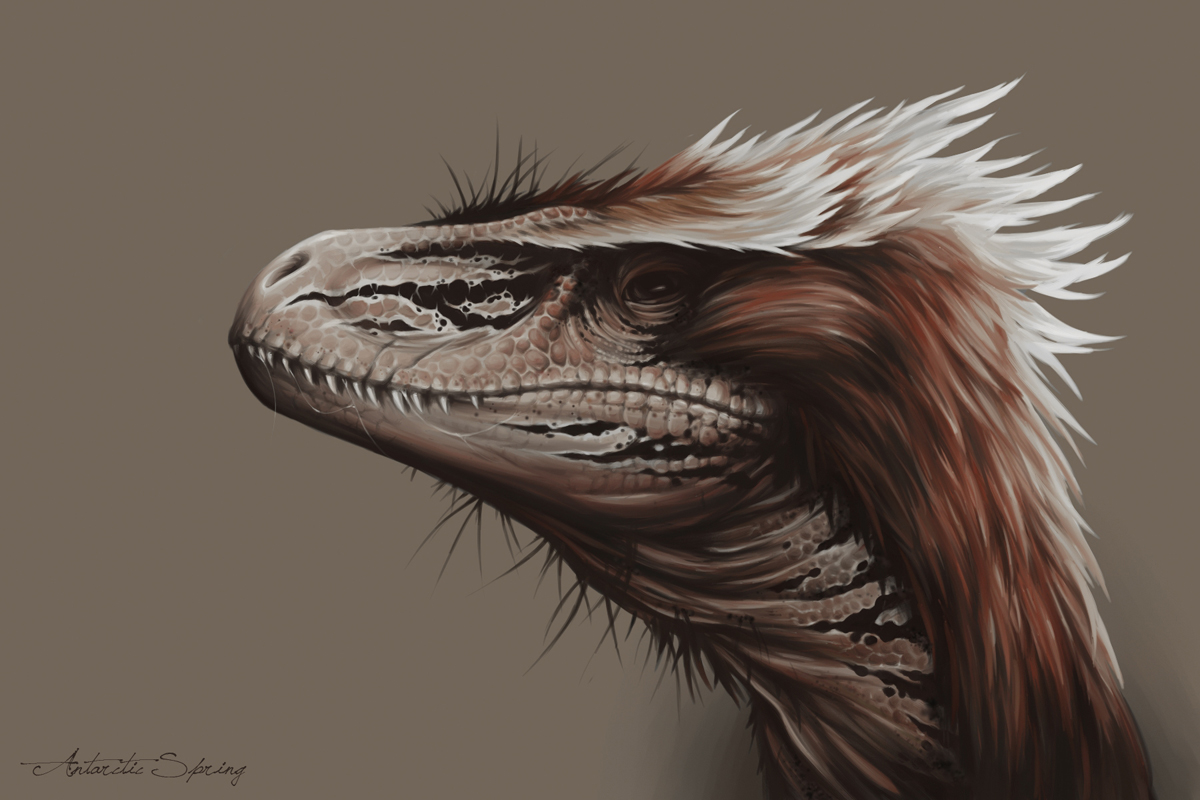 Les dinosaures Utahraptor_by_antarcticspring-d5ahcju