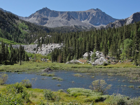 Windscar wilderness