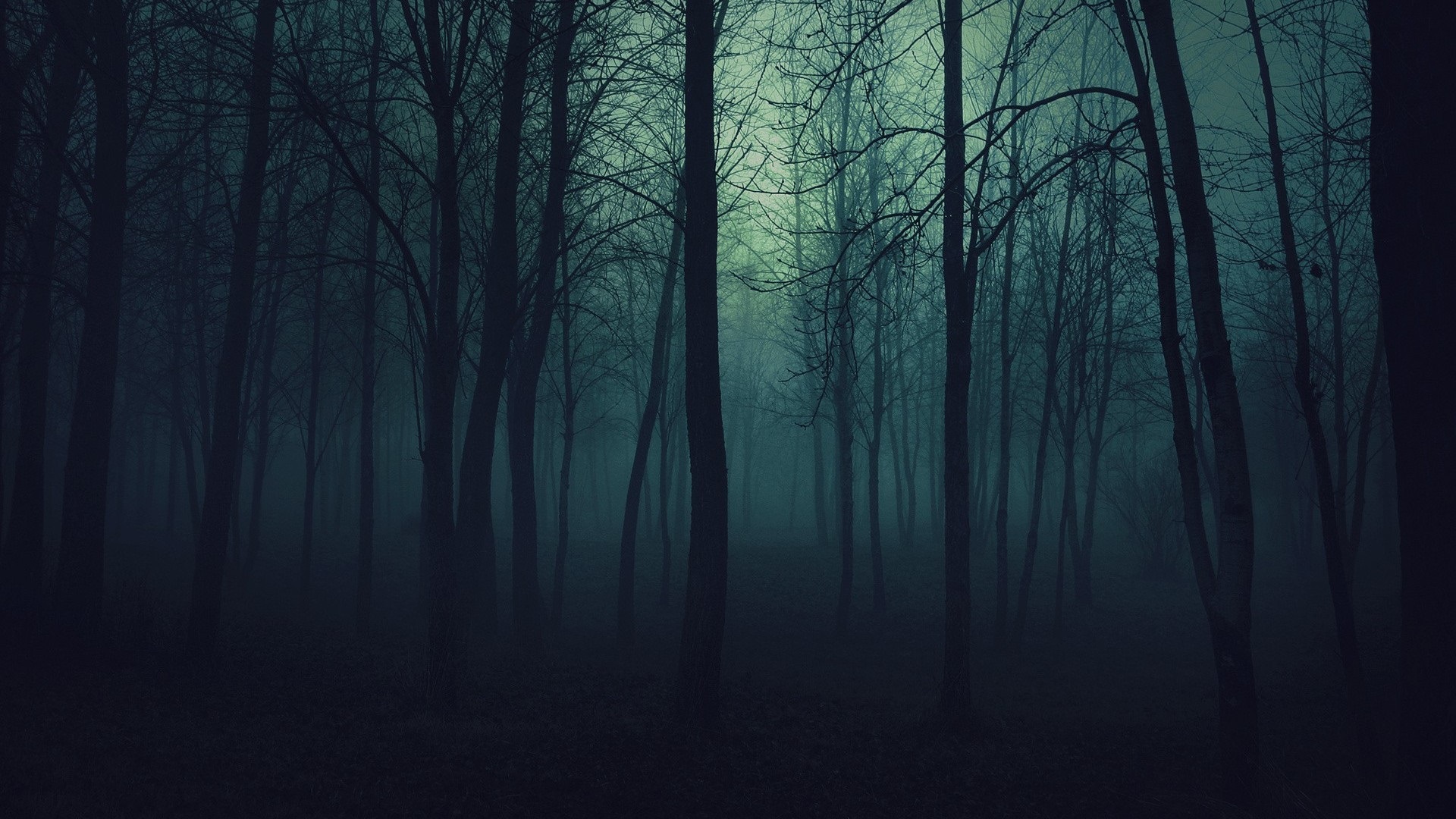 [ صور تصميم ] #2 Dark_forest_by_shnnitzel-d7bz6sl