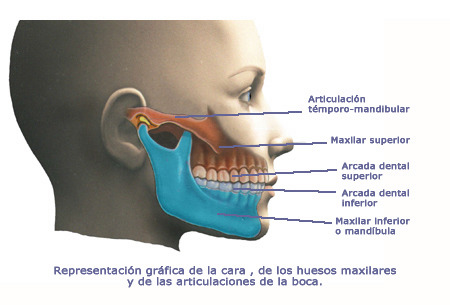 ¿ Como matarias a un Zombie ? - Página 9 Cara