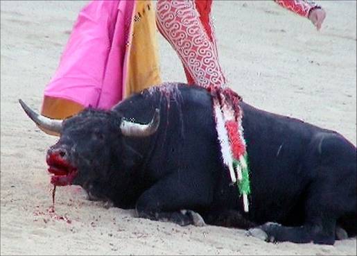 Fundación pide que las corridas de toros no reciban subvenci Imagen-toros2