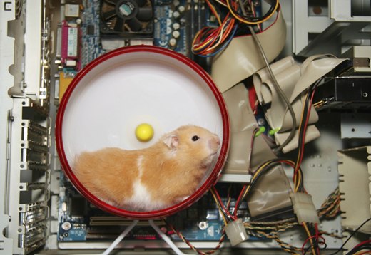 ¿Es cierto que el IMSS elige mediante un software? Hamster-inside-computer