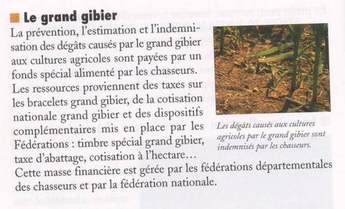 Timbre grand gibier?? Gg