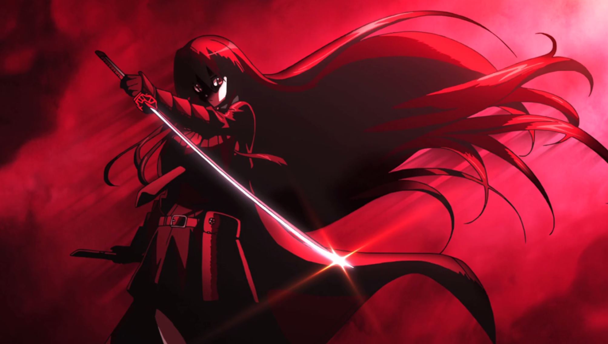 (2014) Waifu of the Year Akame