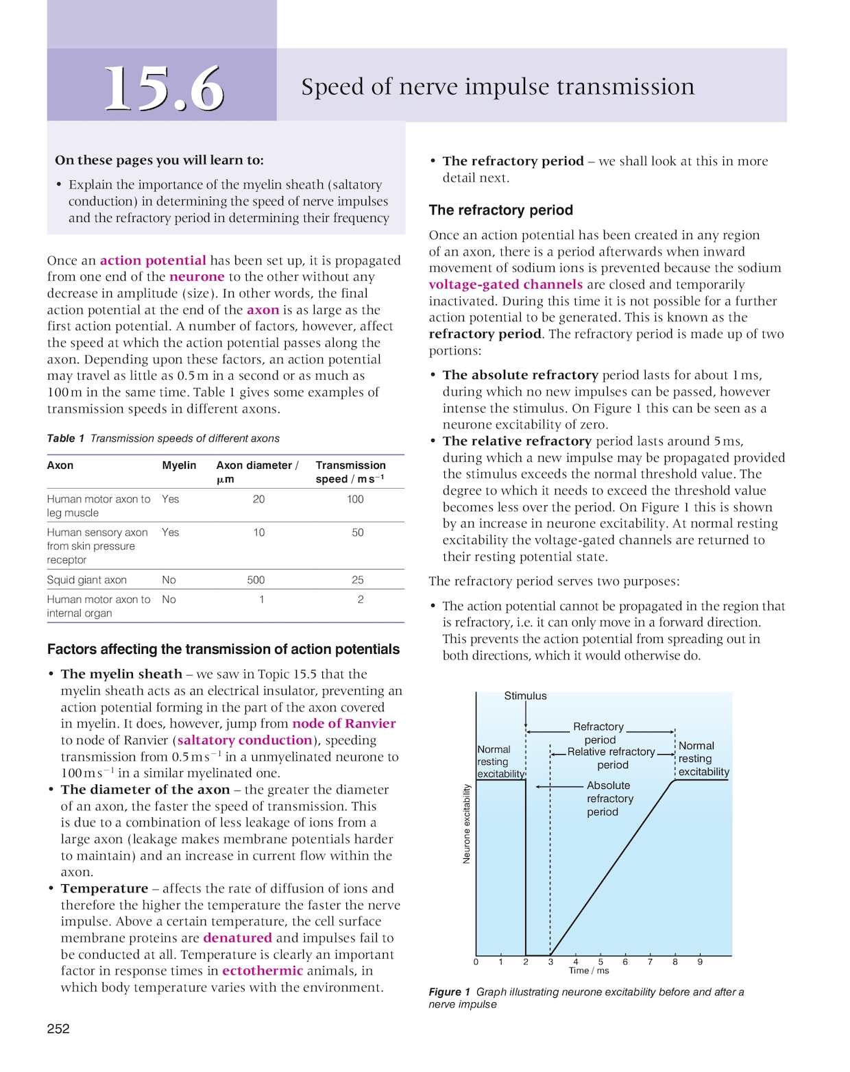 AL CIEBIOC P262