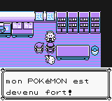 Pokemon Jaune [P.Espace] 09