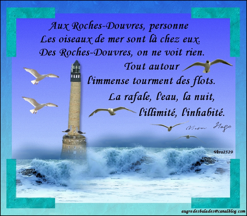 insolite ? La mer dans tous ses états !  - Page 23 97513659_o